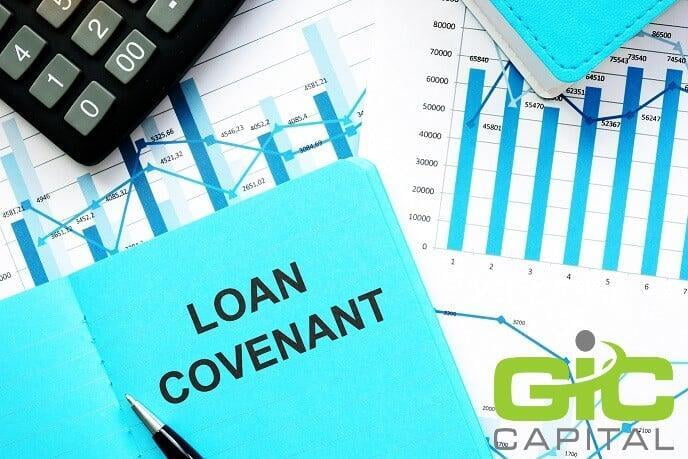 The purpose of loan covenants and the different types.